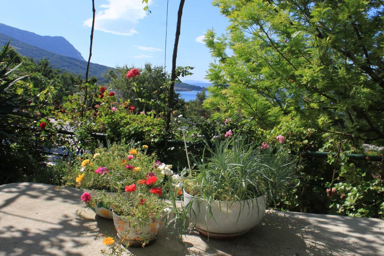 Apartments And Rooms With Parking Space Tucepi, Makarska - 6901 Екстериор снимка